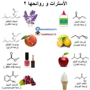 قسم الكيمياء بالليث ينظم نشاط الكيمياء في حياتنا (الإضافات الغذائية)